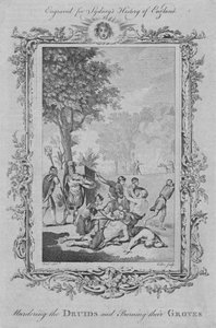 谋杀德鲁伊并焚烧树林，1773年。