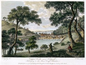 威尔士弗林特郡霍利韦尔附近的铜厂，由莫纳公司拥有，1792年