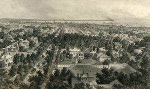 布法罗市》，1872年。   作者 威廉·韦尔斯托德