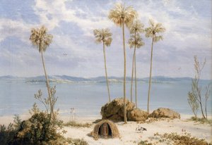 1802 年 12 月，马修-弗林德斯（Matthew Flinders，1774-1814 年）在 1801 年至 1803 年期间乘坐 "调查者 "号进行探险，目的是绘制南部陆地地图、 作者 威廉韦斯特尔