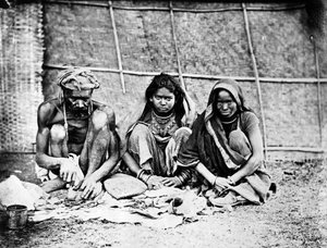 Chai Wallahs，来自&39;印度主题的照片&39;，1860年代