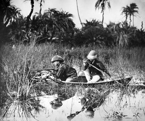 鸭子射击在印度，c.1878