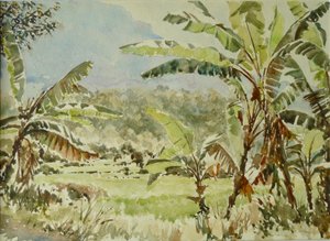 740 香蕉树，Ramboda 作者 威尔逊·克莱夫（Wilson Clive）