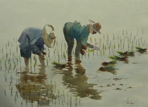 885种植水稻 作者 威尔逊·克莱夫（Wilson Clive）