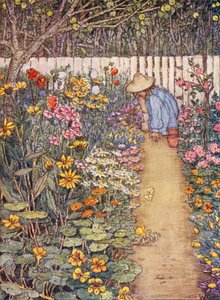 儿童园艺书：草本植物畦（彩色石印版）