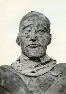 拉美西斯三世（Rameses III）的木乃伊头，古埃及的20世纪王朝法老，公元前1156年左右