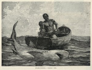 小贩、拿骚门户、钓鲨--拿骚酒吧，摘自《世纪杂志》，1887 年 2 月 作者 温斯洛·荷马