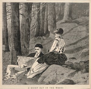 森林中宁静的一天》，摘自《阿普尔顿文学、科学和艺术杂志》，1870 年 6 月 25 日 作者 温斯洛·荷马
