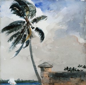 拿骚，热带海风，1889-90年 作者 温斯洛·荷马