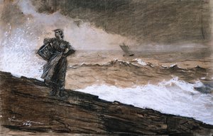 1884年在公海 作者 温斯洛·荷马