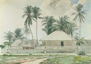 小屋，拿骚，1885年（wc和铅笔在纸上） 作者 温斯洛·荷马