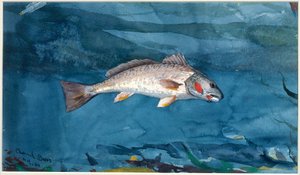 海峡鲈鱼 作者 温斯洛·荷马