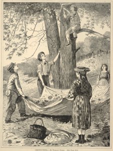 栗丁，摘自《每个星期六》：1870 年 10 月 29 日《精选阅读插图期刊 作者 温斯洛·荷马