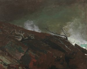 缅因州的海岸，1893年。 作者 温斯洛·荷马