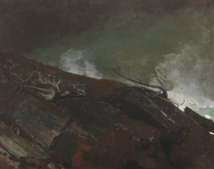 缅因州海岸，1893年 作者 温斯洛·荷马