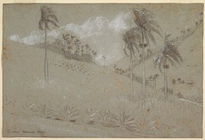 绘画，古巴山坡，1885 年 作者 温斯洛·荷马