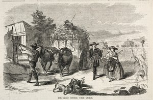玉米开车回家，1858年。 作者 温斯洛·荷马