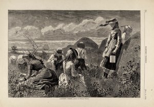 采集浆果》，摘自《哈珀周刊》，1874 年 7 月 11 日 作者 温斯洛·荷马