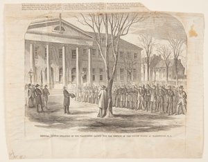 托马斯将军在华盛顿特区为应征入伍的志愿军宣誓就职 作者 Harper and Bros.，纽约，纽约，美国