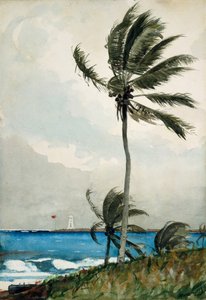 棕榈树，拿骚，1898年（wc和石墨在灰白色的纸上） 作者 温斯洛·荷马