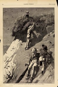 突袭沙燕殖民地--"有多少鸡蛋？"，摘自《哈珀周刊》1874 年 6 月 13 日 作者 温斯洛·荷马