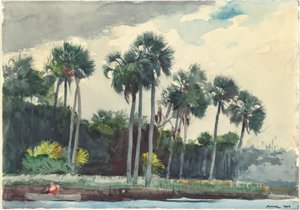 红衫军，佛罗里达州霍莫萨萨，1904年。 作者 温斯洛·荷马