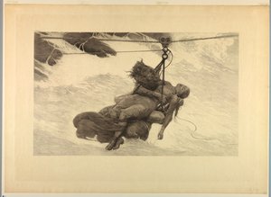 已保存 作者 Winslow Homer