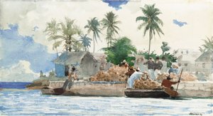 海绵渔夫，巴哈马 作者 温斯洛·荷马
