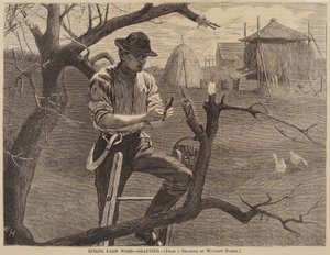 春季农场工作--嫁接》，1870年出版。 作者 温斯洛·荷马