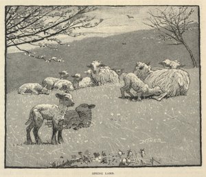 春羔》，选自《斯克里布纳月刊》，1880 年 6 月 作者 温斯洛·荷马