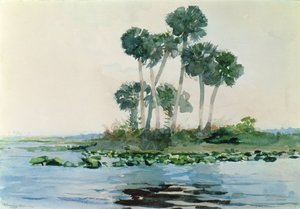 佛罗里达州圣约翰河，1890年 作者 温斯洛·荷马