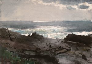 阳光与阴影，普劳特的颈部，约 1894 年（象牙梭织纸水彩画） 作者 温斯洛·荷马