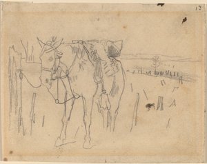 拴住了，1864年。 作者 温斯洛·荷马