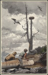 鹰巢，1902年 作者 温斯洛·荷马