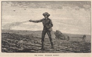 播种者》，选自《斯克里布纳月刊》，面向大众的插图杂志，1878 年 8 月 作者 温斯洛·荷马