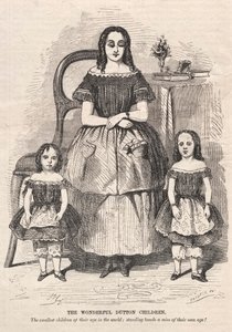 奇妙的达顿儿童，1859年。 作者 温斯洛·荷马