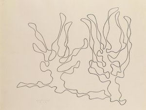 西白俄罗斯-树木 作者 瓦迪斯瓦夫·斯特热明斯基
