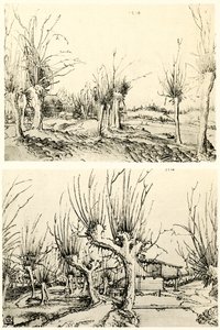 与柳树的风景 作者 沃尔夫·胡伯