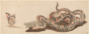 蛇和蝴蝶，1680年代至1690年代。