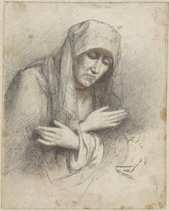 圣母玛利亚 作者 Woutherus Mol