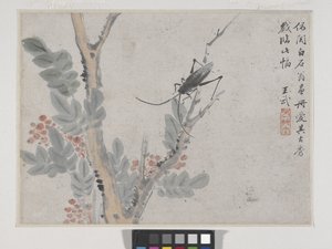 沈周之后的昆虫和树（纸本水墨设色） 作者 武王
