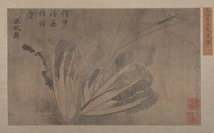 卷心菜和昆虫。 作者 徐道光
