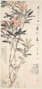 琵琶（枇杷）