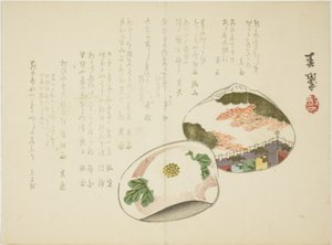 蛤蜊壳