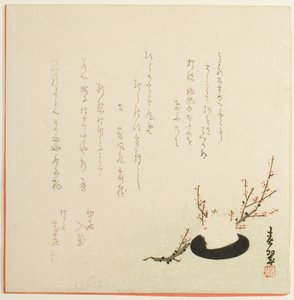 雪兔