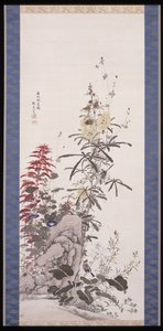 美丽的花朵：十个朋友