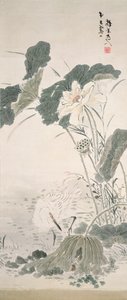 鹭和莲花