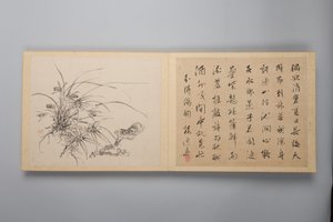 四季的精致优雅 Shiji seiga，花画专辑，1844年。 作者 山本白津