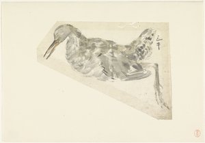 死水鸟 作者 山本真良白逸