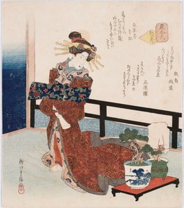 宫古之花“首都之花”，用来指代著名演员，妓女或名人的名言，它描绘了站在盆栽松树上的妓女，以及诗岛岛绘一，卡根罗和Chokintei Seiki的诗。 作者 柳川二重信